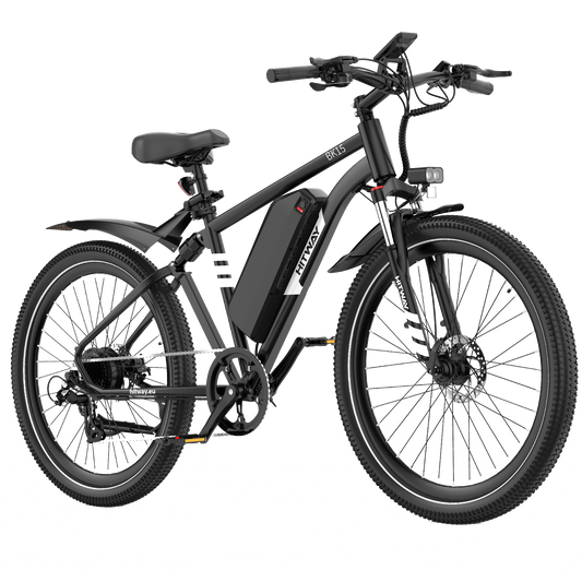 BK15 Plus 29 inch elektrische fiets