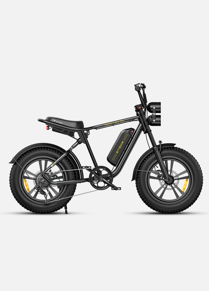 ENGWE M20