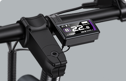ENGWE P275 Pro