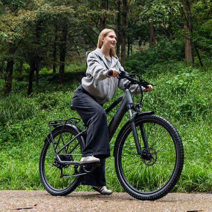 BK7S Plus 29 inch elektrische fiets
