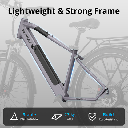BK7S Plus 29 inch elektrische fiets