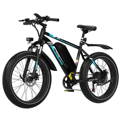BK15 4.0 elektrische fiets met dikke banden