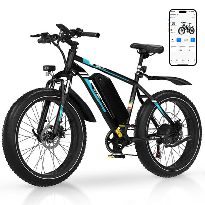 BK15 4.0 elektrische fiets met dikke banden