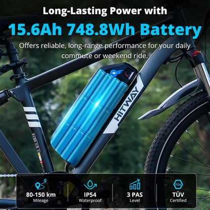 BK15 Plus 29 inch elektrische fiets