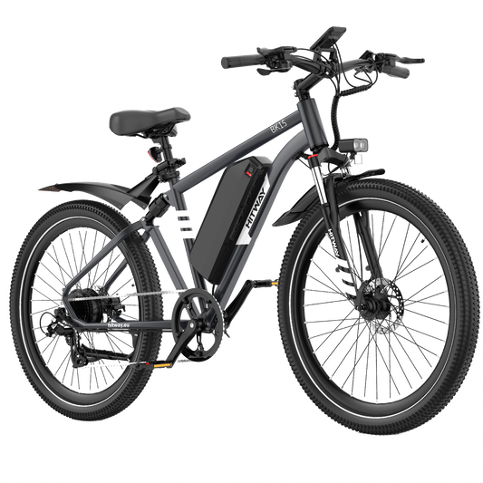 BK15 Plus 29 inch elektrische fiets