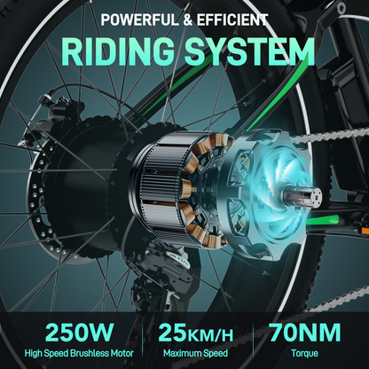 BK9S elektrische fiets