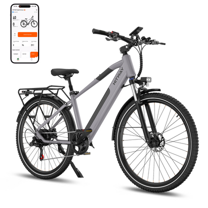 BK7S Plus 29 inch elektrische fiets