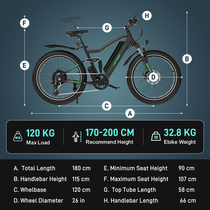 BK9S elektrische fiets
