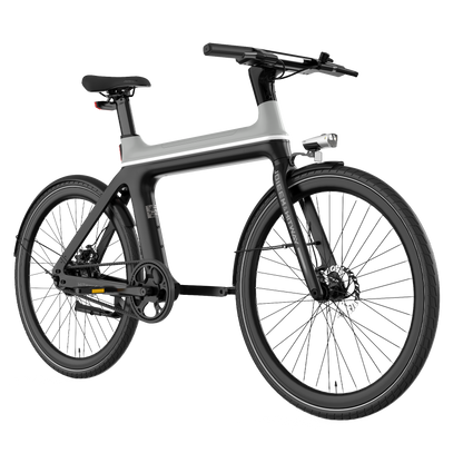 E-bike X