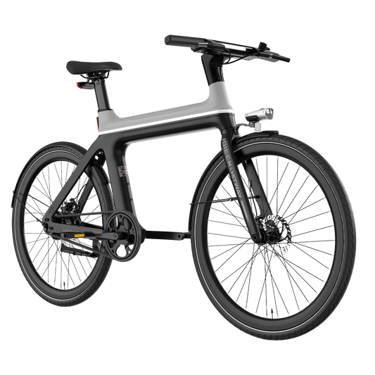 E-bike X